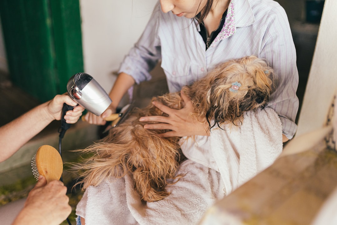 The Growing Trend of At-Home Pet Grooming: Tips, Tools, and Industry Insights